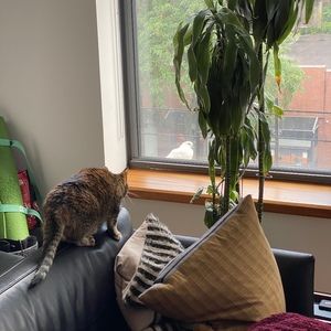 Meet your Posher, Aaron